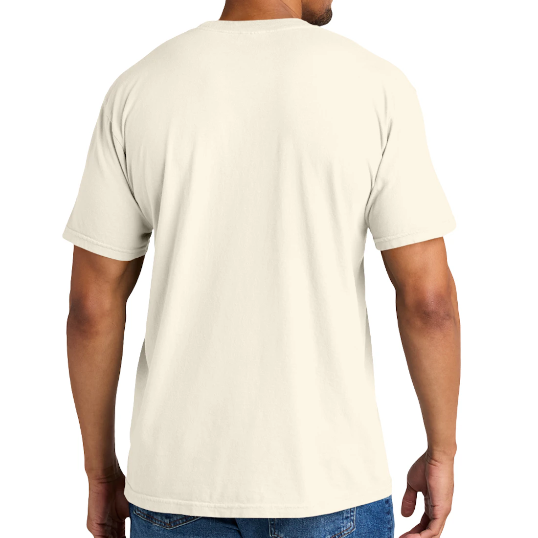 Comfort Colors Heavyweight T-Shirt back view