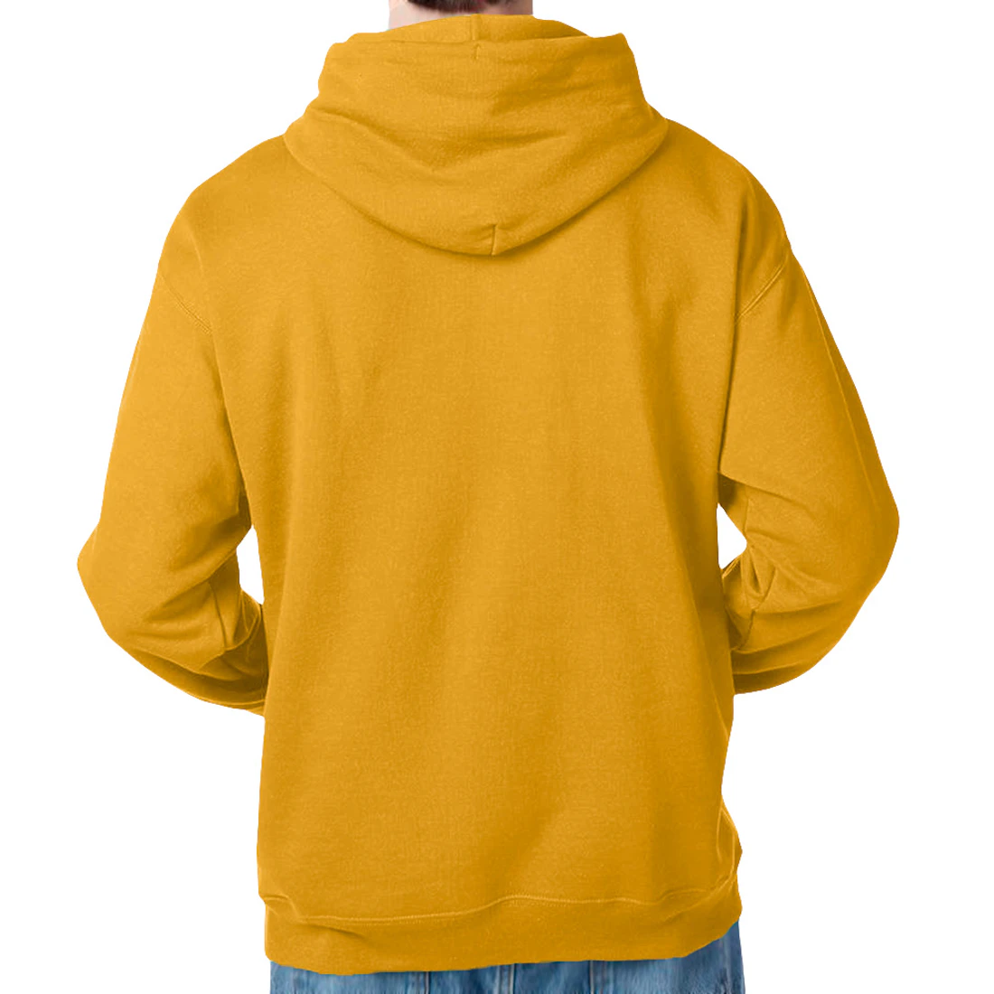Hanes EcoSmart Hoodie back view